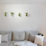 Alsfelder Wein-suite Appartement *