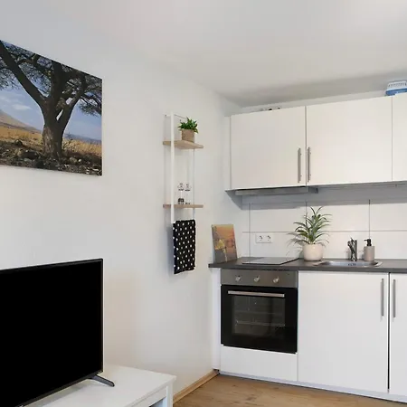 Alsfelder Wein-suite Apartmán