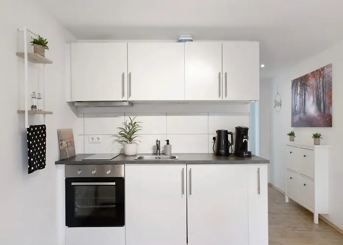 Alsfelder Wein-suite Appartement *